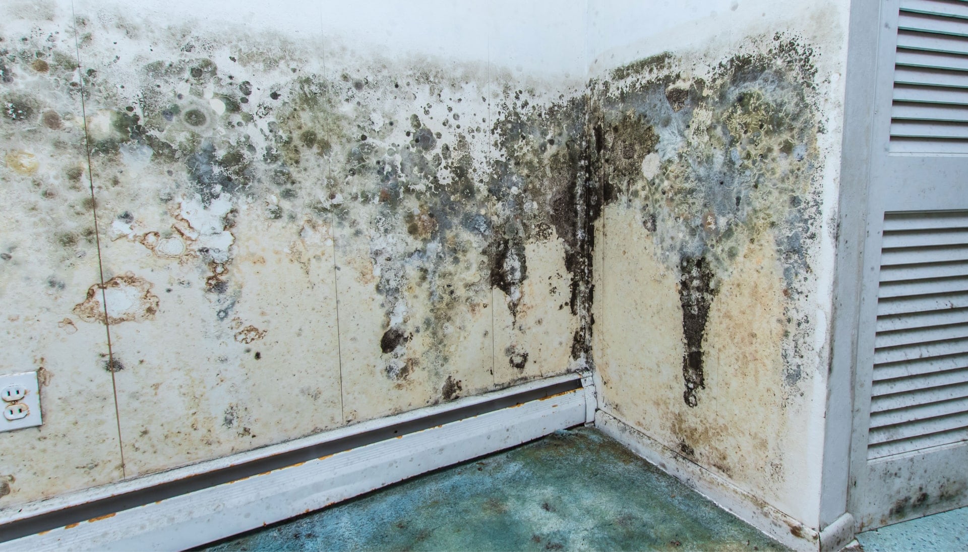 Professional mold removal, odor control, and water damage restoration service in Orem, Utah.
