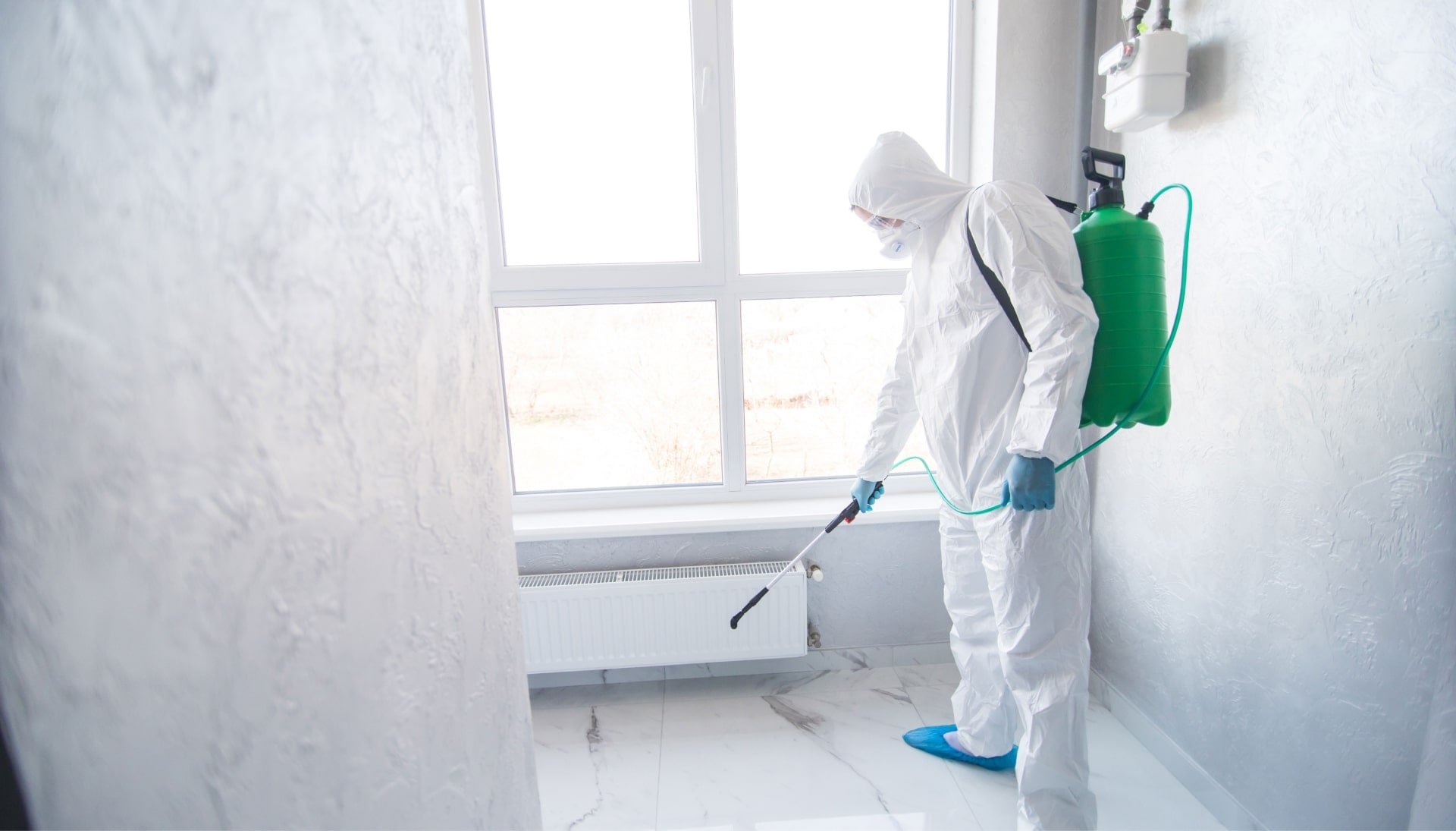 We provide the highest-quality mold inspection, testing, and removal services in the Orem, Utah area.